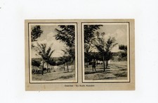 Cartolina - Frosinone -