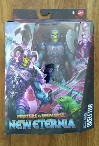 Masters the universe new - the,