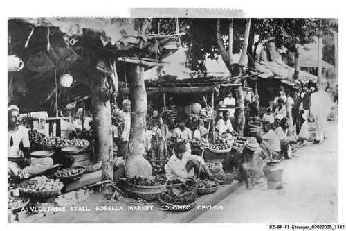 Bfp1 0692 sri lanka un - -,