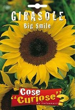 Semi/Seeds GIRASOLE Nano Big