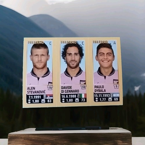 Calciatori panini 2013 - calciatori,