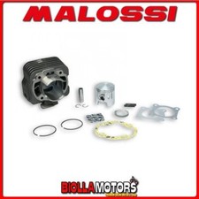 317748 CILINDRO MALOSSI 72CC