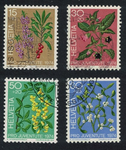 Svizzera frutti del bosco - frutti,