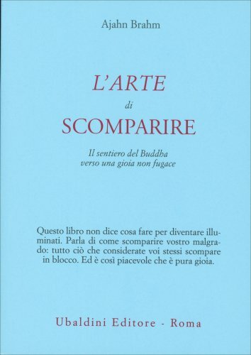 Libro arte scomparire il - libro,