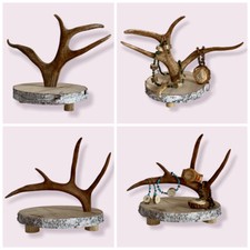 Espositore PORTA GIOIELLI collane vetrina con AUTENTICA CORNA DI RENNA montagna