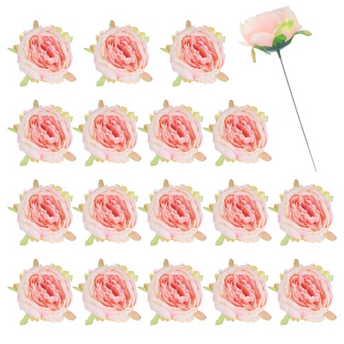 Peonie fiori - 25,