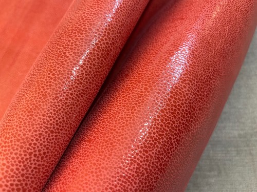 Pelli pelle rosso - in,