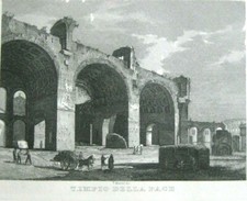 stampa antica acquaforte su