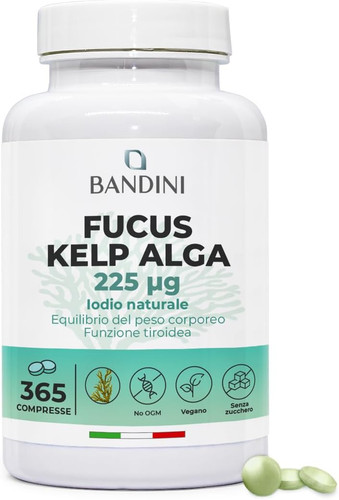 Fucus kelp algae - fucus,