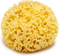 Spugna Di Mare 100% Naturale