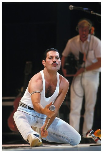 Poster freddy mercury 24x36 - poster,