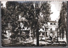 84304/5 Cartolina TARZO