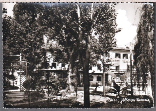 84304 cartolina tarzo - 84304/5,