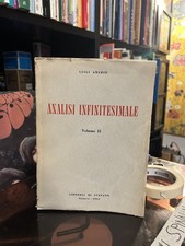 Luigi Amerio - Analisi