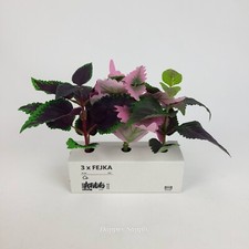 Ikea Fejka Pianta Artificiale