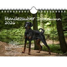 Magia per cani Dobermann DIN