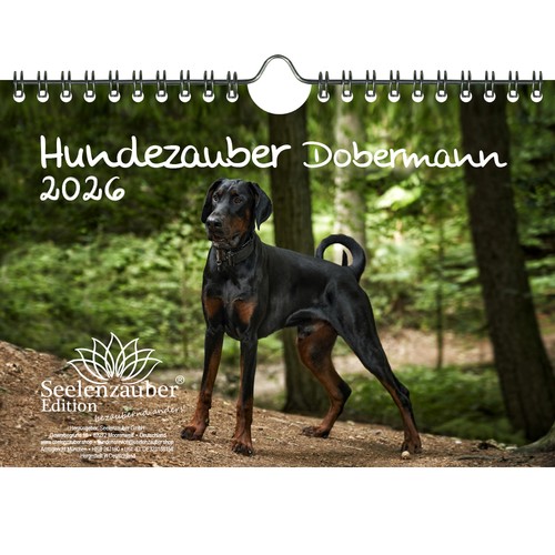 Magia per cani dobermann din - magia,