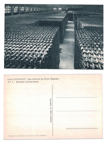 Postcard codorniu winery - -,