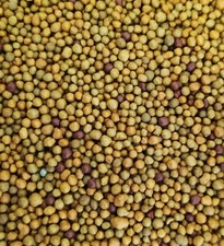 Osmocote Concime a Lunga