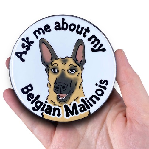Calamita belga malinois chiedi - calamita,