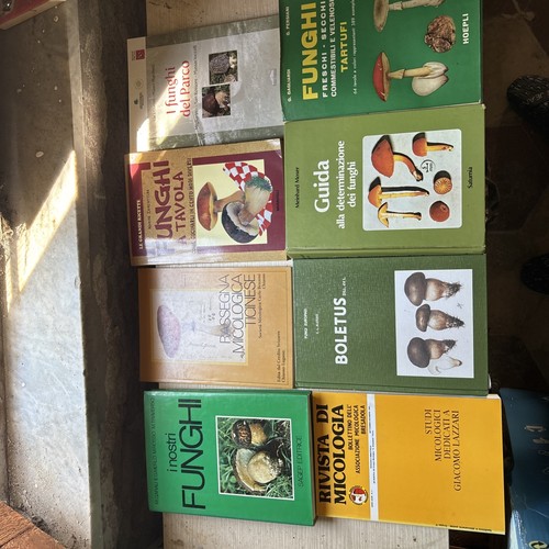 Libri sullo studio - libri,