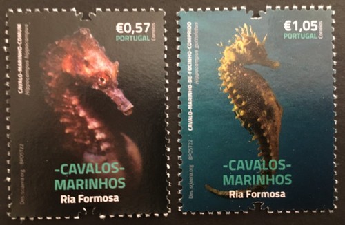 Portogallo 2022 cavalli - 2022,