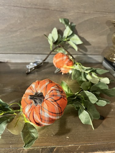 Ghirlanda mantello zucca - mantello,