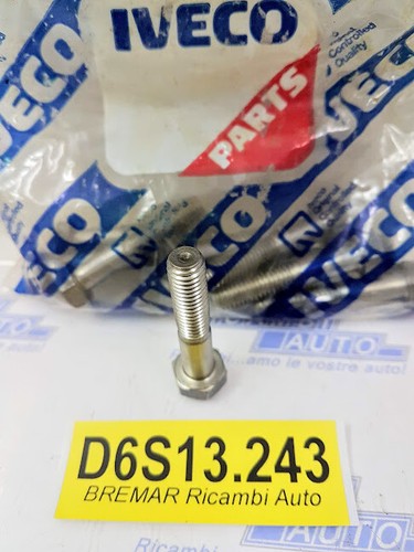 D6s13 243 bullone perno - bullone, tubo