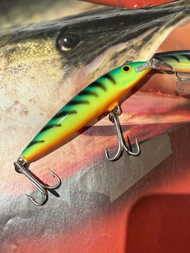 Rapala galleggiante magnum - magnum, 9