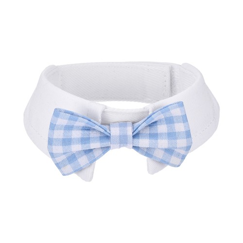 Papillon per cane - papillon,