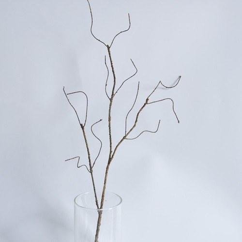 Simulazione ramo albero - ramo,