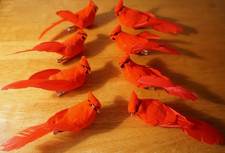 12 clip su uccellino rosso