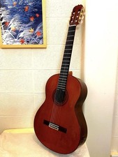 Classical Acoustic Guitar Jose