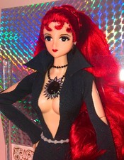 Sailor Moon Doll Art Pieces