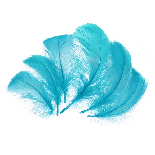 100 pcs piume per - piume,
