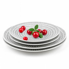 White Ceramic Dinner Plates