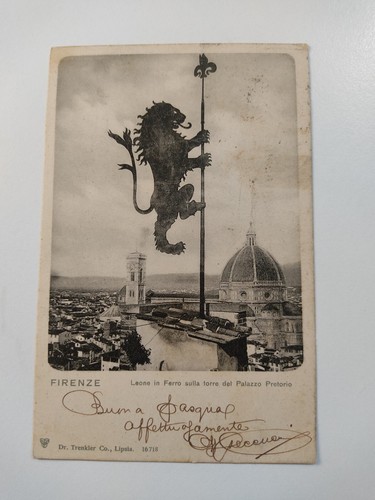 Cartolina firenze 1902 - 1902, leone