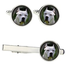 Dogo Argentino set of clips in