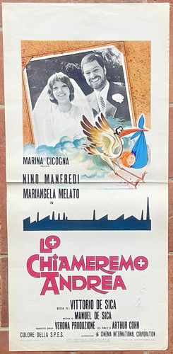 Locandina chiameremo andrea - chiameremo,