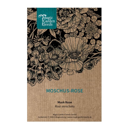 Rosa muschiata - , moschata)