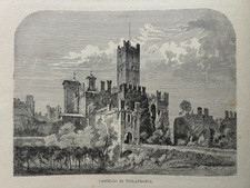 Incisione Xilografia d'epoca