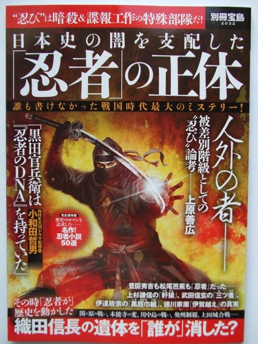 Ninja giapponese what - ninja,
