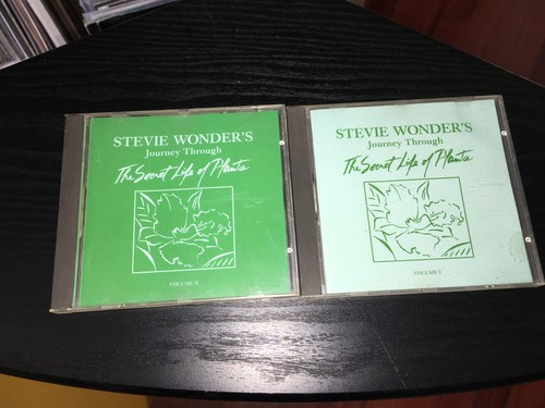 Stevie wonder journey - stevie,
