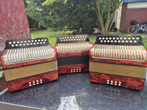 Hohner erica fisarmonica - hohner,