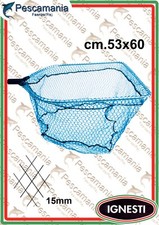 Testa Guadino Ignesti Maxi