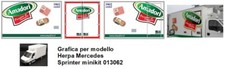 Grafica adesiva amadori - grafica, x