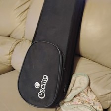 Cello That Did A Hard Case