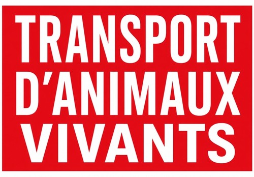 Adesivo sticker vinile - adesivo,