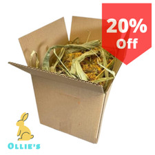 OLLIE’s Forage Box - Scatola