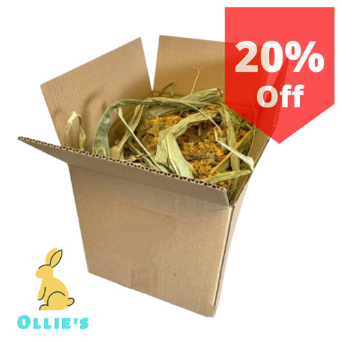 Ollie forage box scatola - forage,